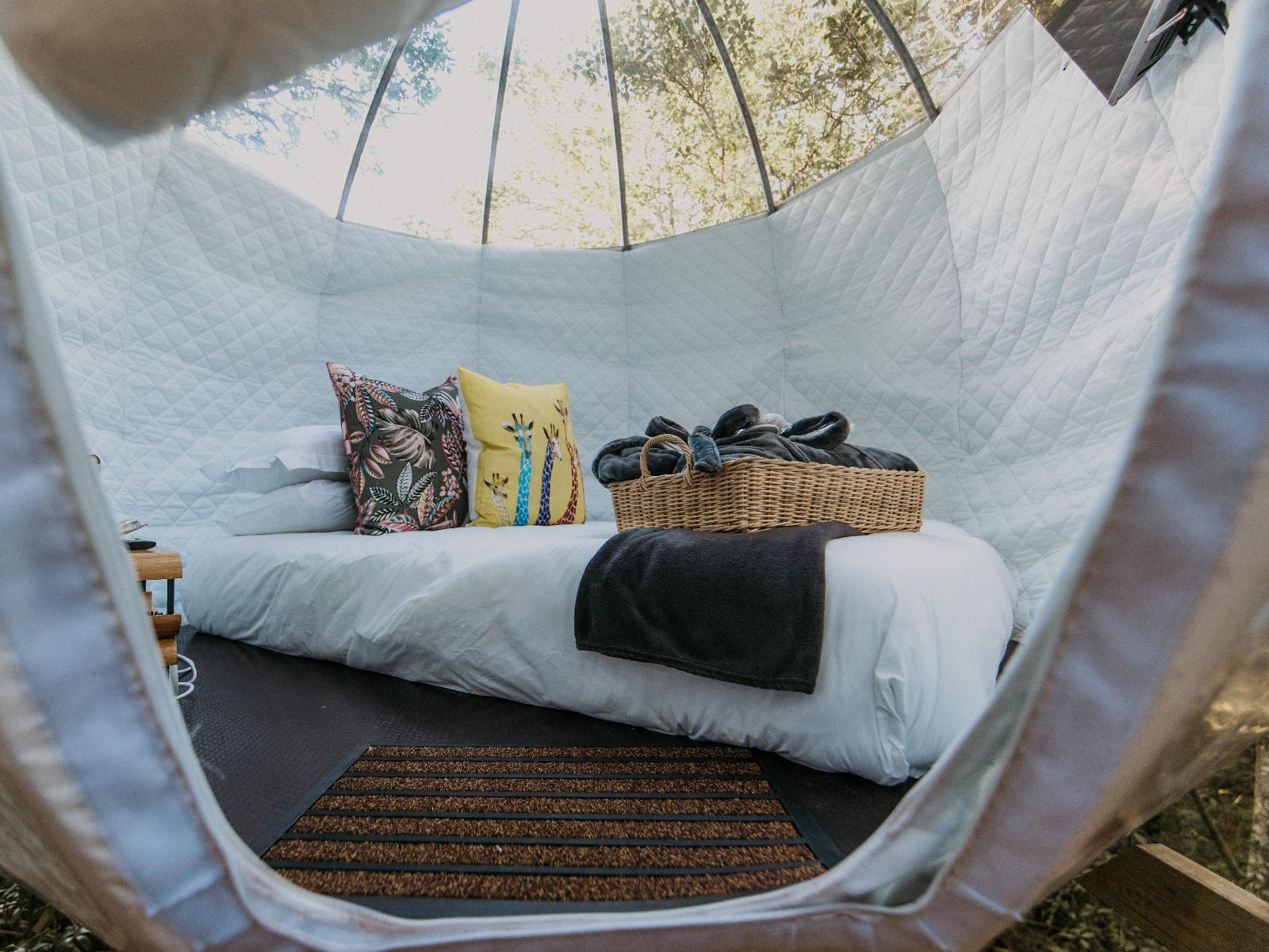 The Cacoon | Misty Mountain Reserve, Photo of the whole room