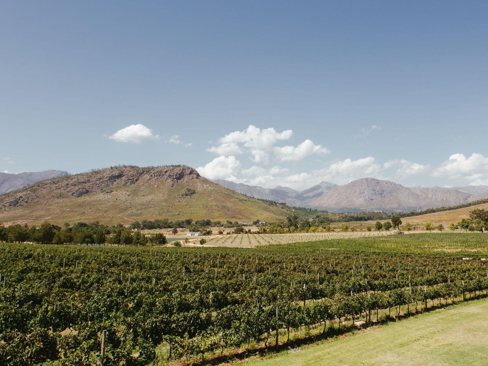 Luxury Pinot Noir Suite 1 | La Roche Estate, View (from property/room)