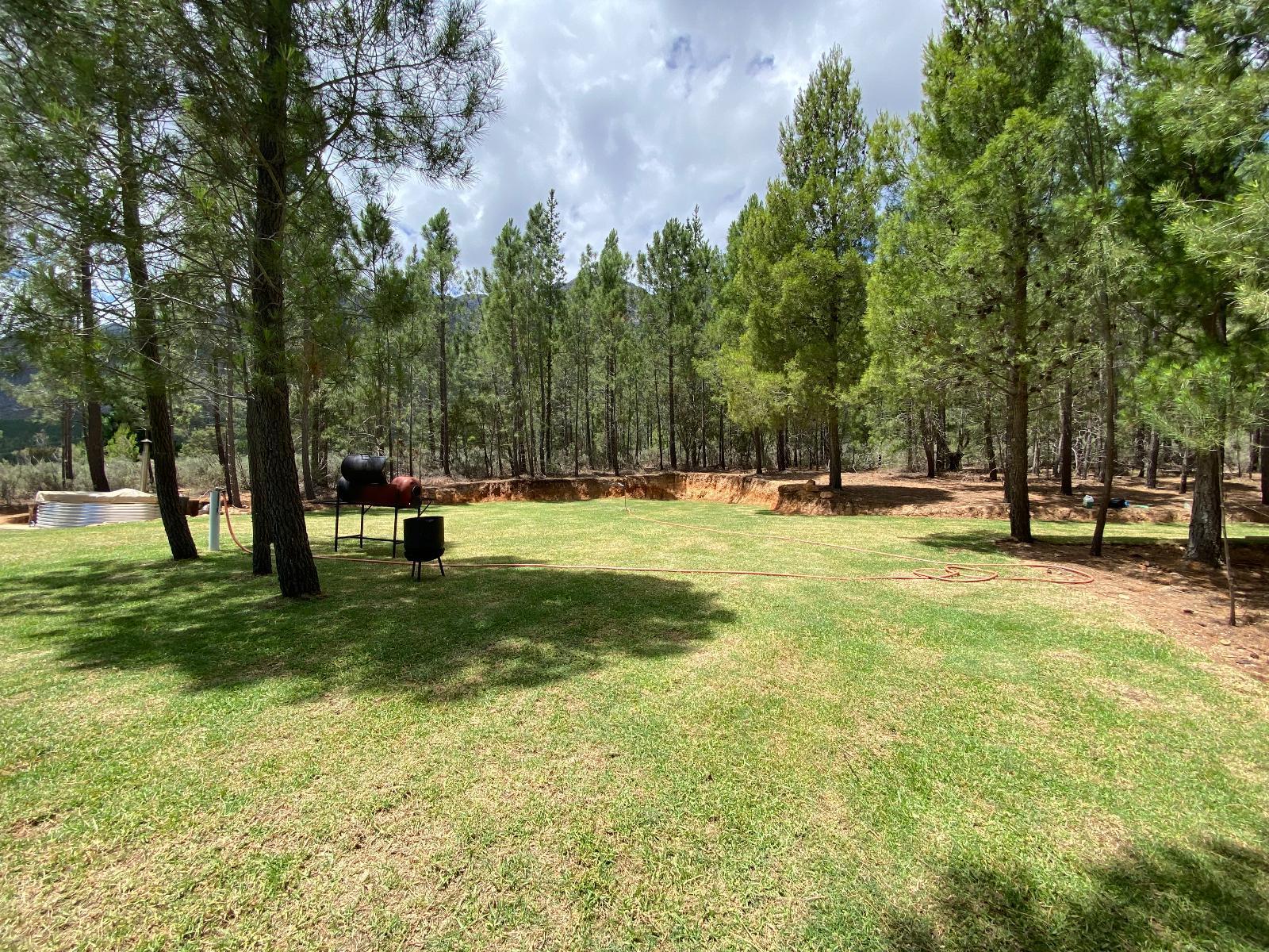 Noah Farm Campsite 4 showing a large grassy campsite surrounded by trees
