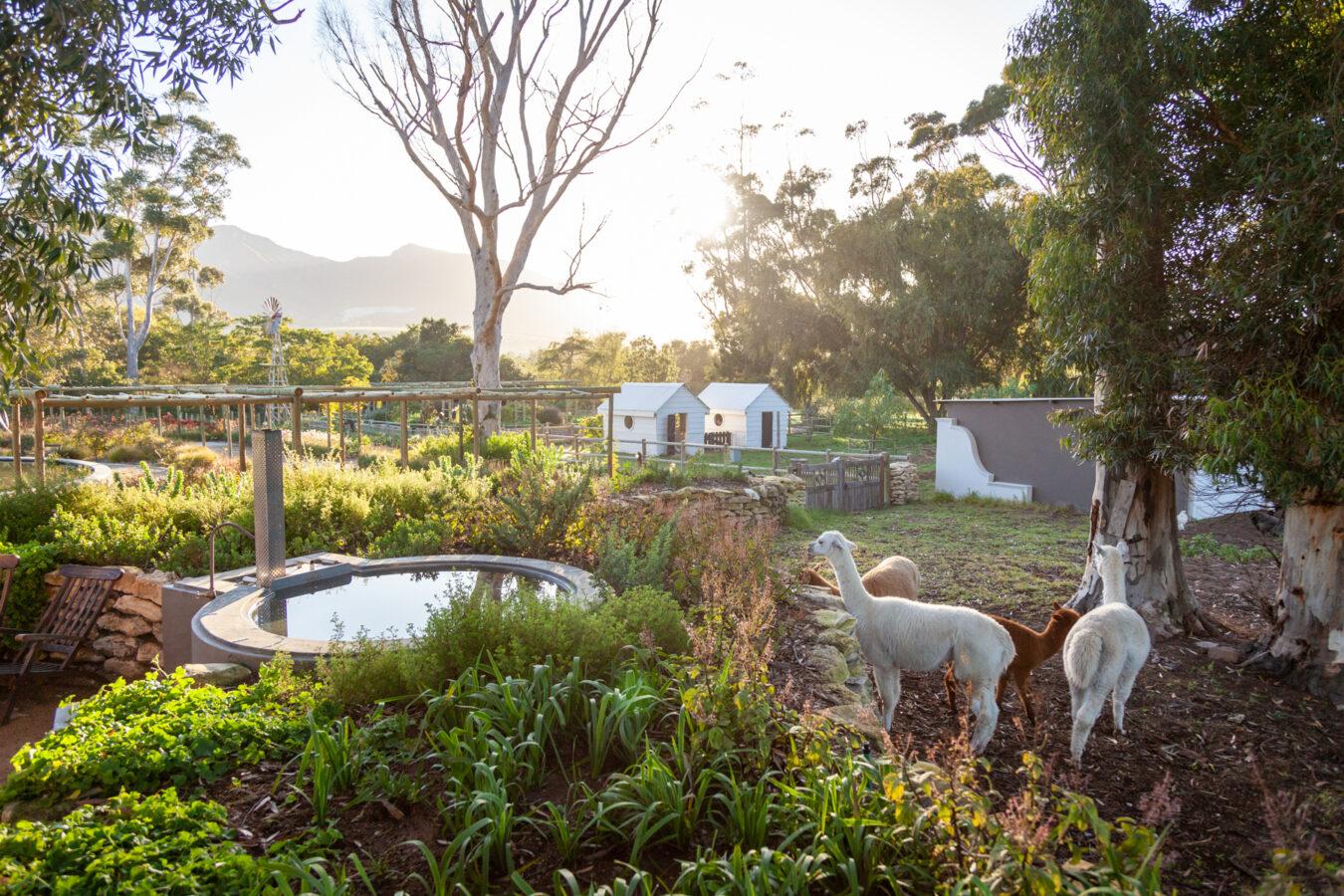 Gatehouse Cottage | Rivergate Guest Farm