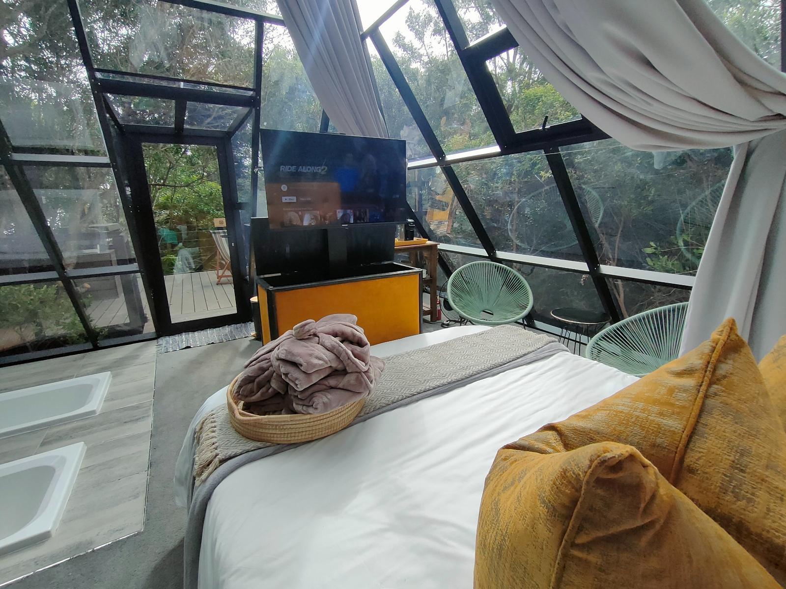 The Pyramid at Misty Mountain Reserve: Aerial view of glass pyramid nestled in lush forest