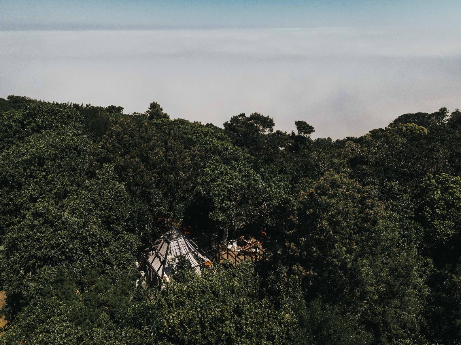 The Pyramid | Misty Mountain Reserve, Photo of the whole room