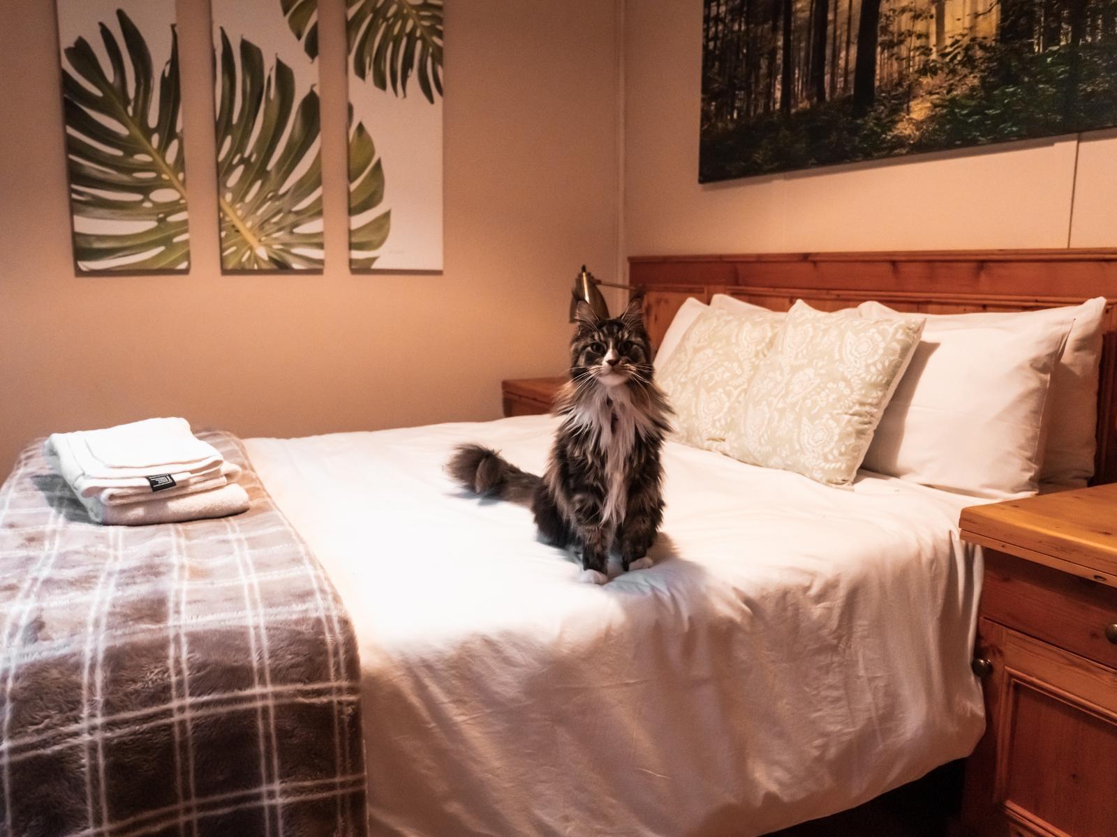 Blombos Cottage | Bokrivier, Bed