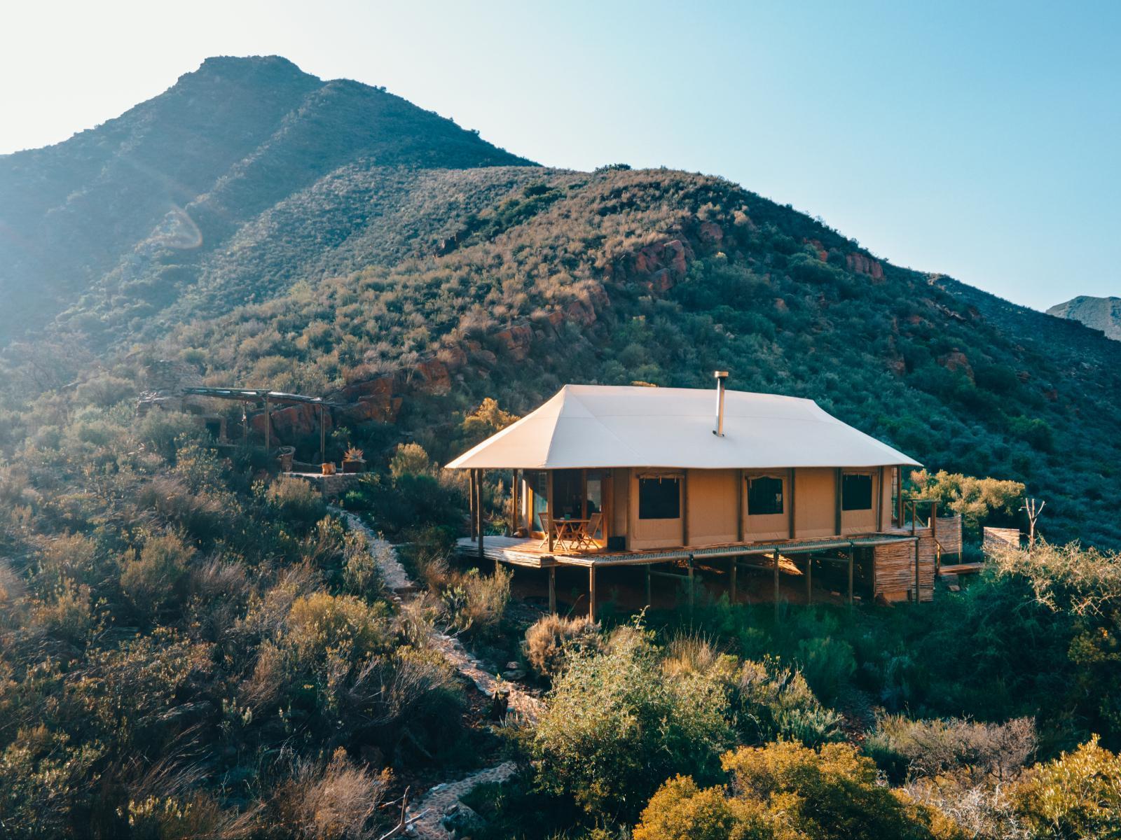 Leopard's Kloof Luxury Tented Camp: Glowing safari tent on hillside, dramatic mountain backdrop, golden light