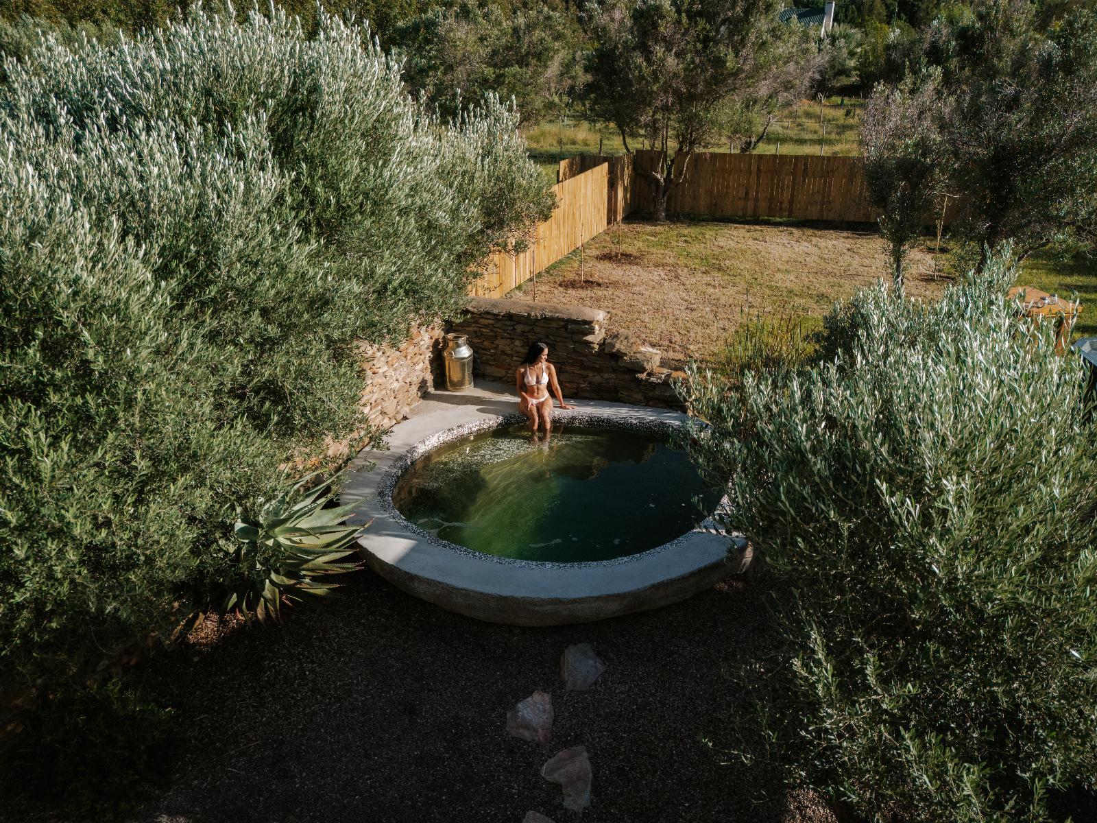 Olive Cottage, Photo of the whole room