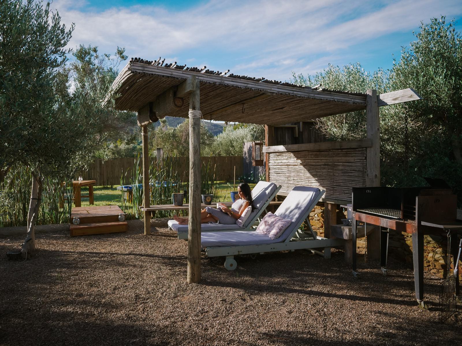 Olive Cottage, Photo of the whole room