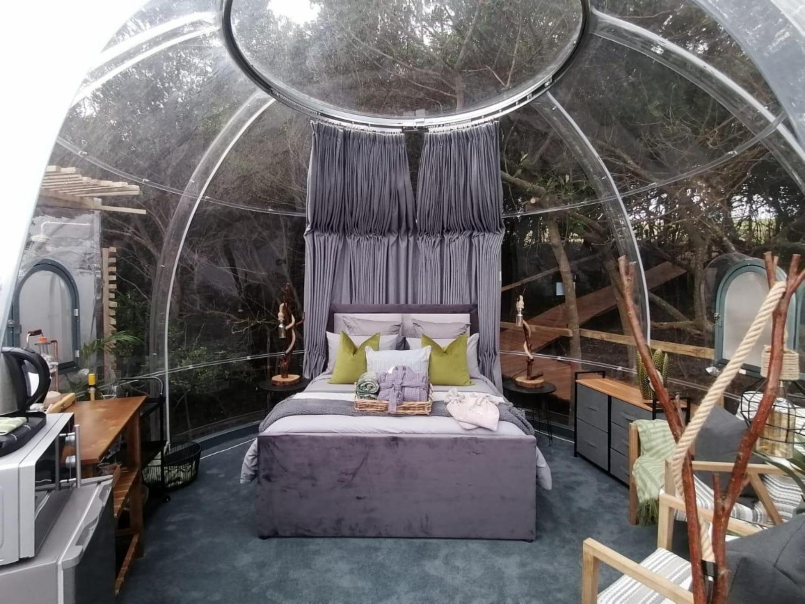 The Ocean Dome | Misty Mountain Reserve, Photo of the whole room