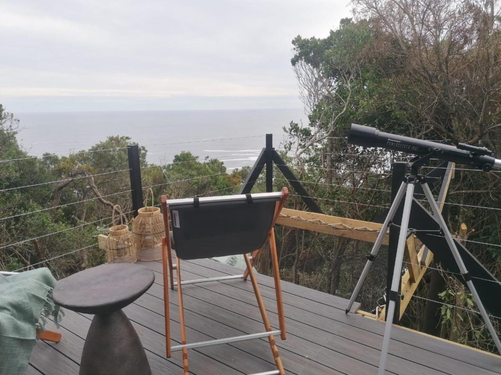 The Ocean Dome at Misty Mountain Reserve: Inside dome looking out at pastel dusk sky