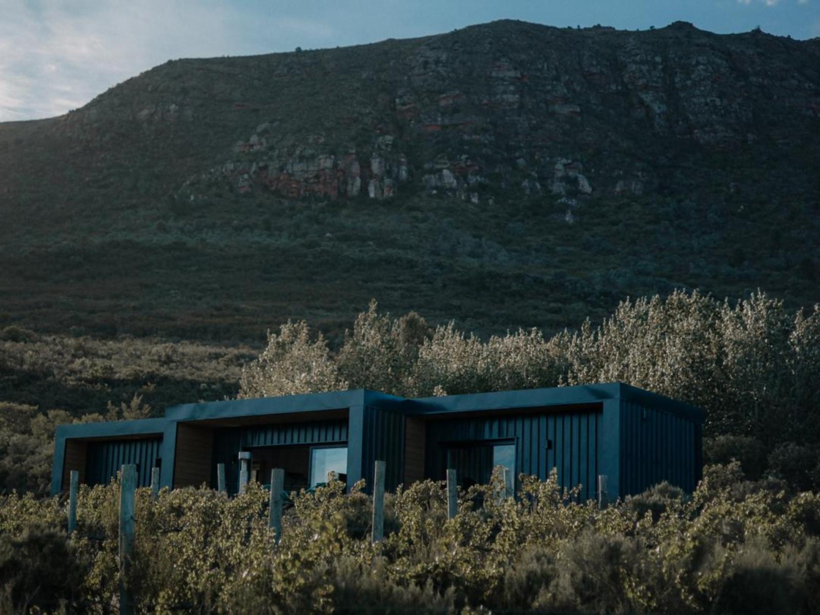 Secret Garden Cabin | Springsteen Cabins, Bed
