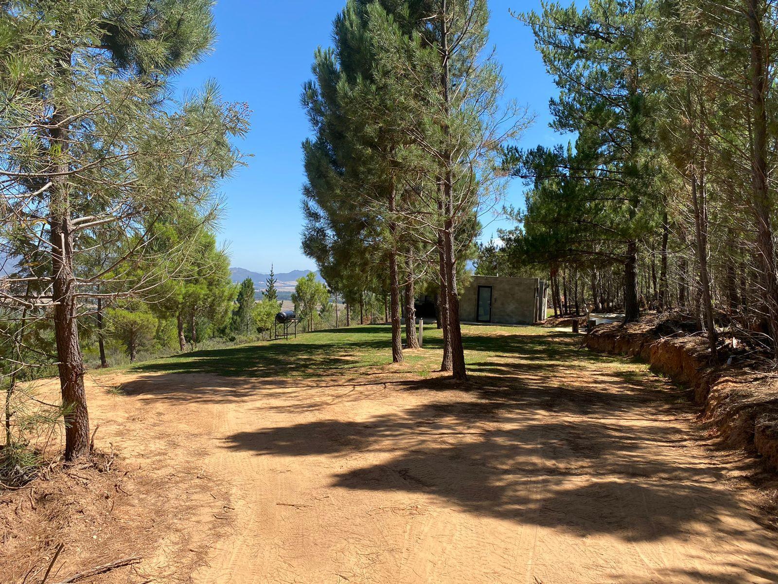 Noah Farm Campsite 2's entrance showing the drive in gravel area and trees and grass in the background